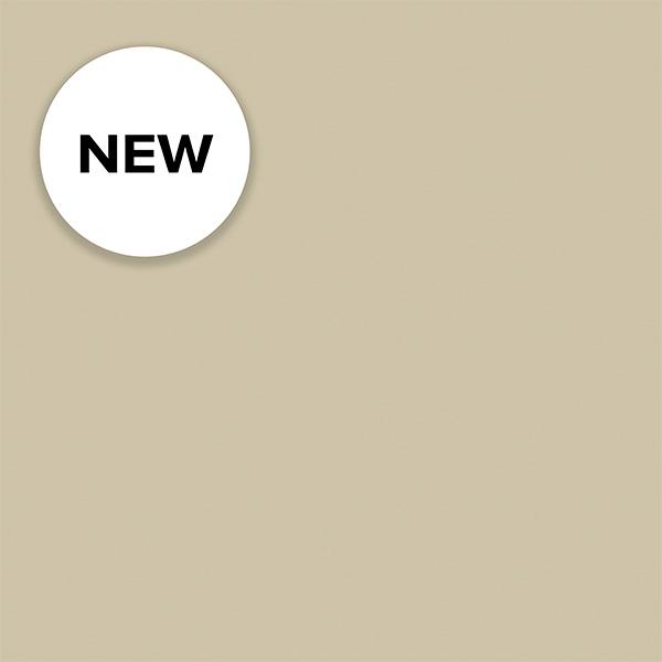 Carta regalo 1981 Light Tan matt 