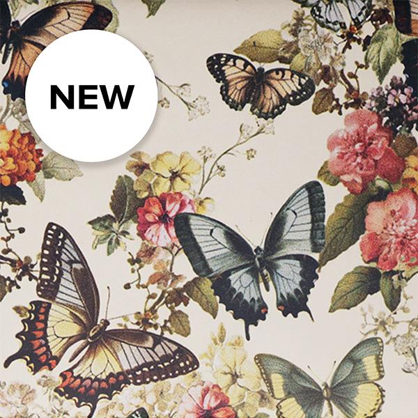 Carta regalo 3698 Butterflies, 100 m