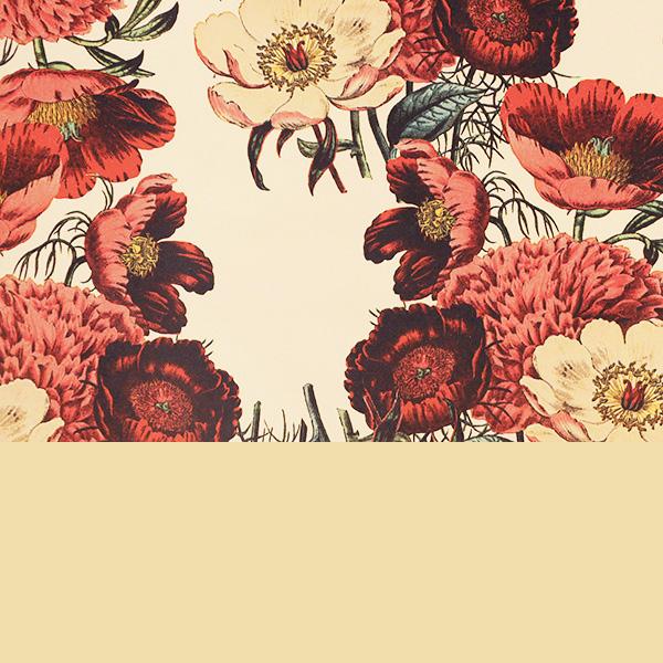 Carta regalo 3710 Berries Cream 55 cm