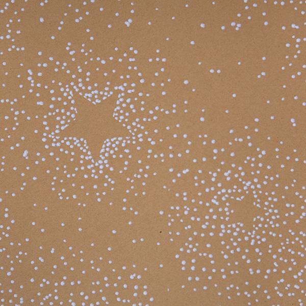 Design 6220 Starry Snowfall (94 EUR)