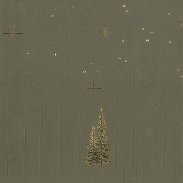 Carta regalo Green Forrest Star Night 55 cm