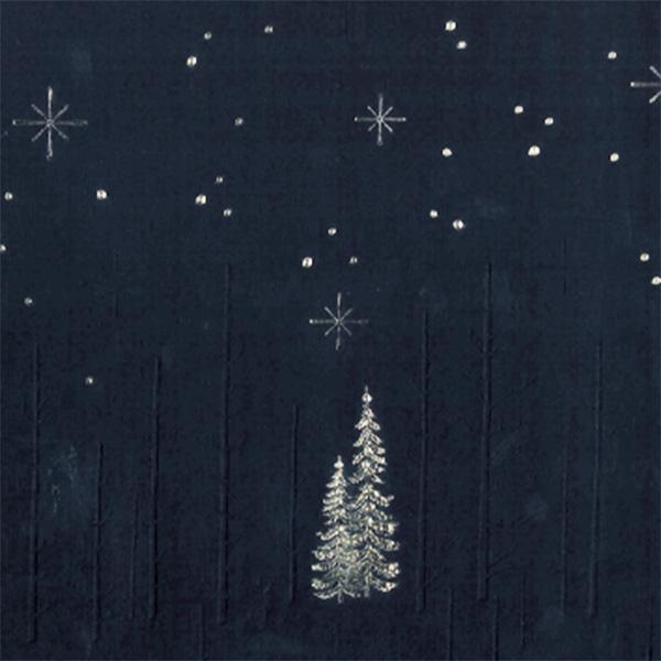 Carta regalo Navy Forrest Star Night 55 cm